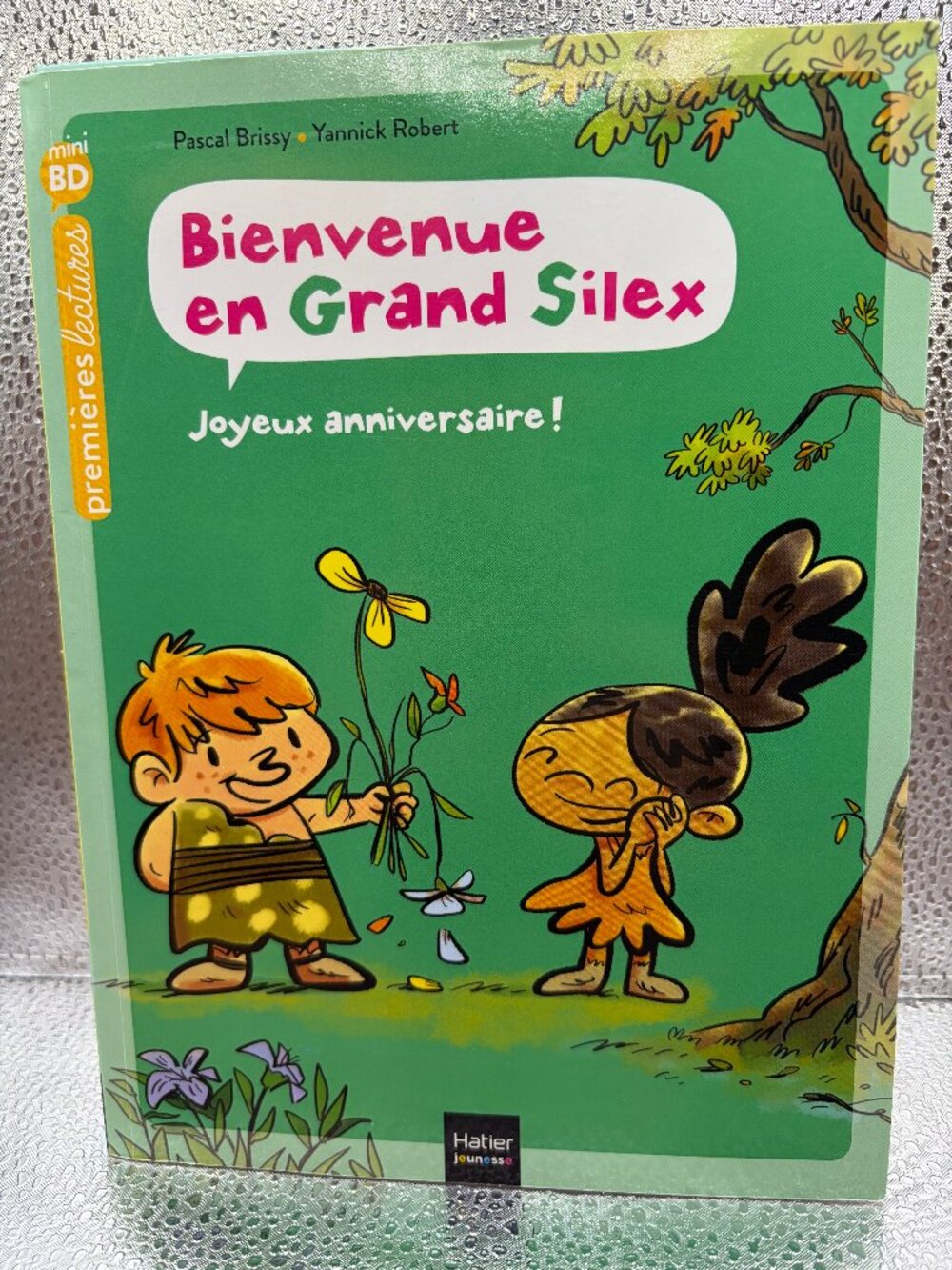 🦖 FRENCH Early Reader Graphic Novel: Bienvenue en Grand Silex (Hatier)